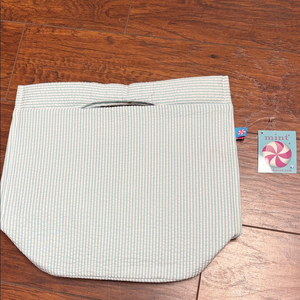Mint Light Green Striped Laptop Bag